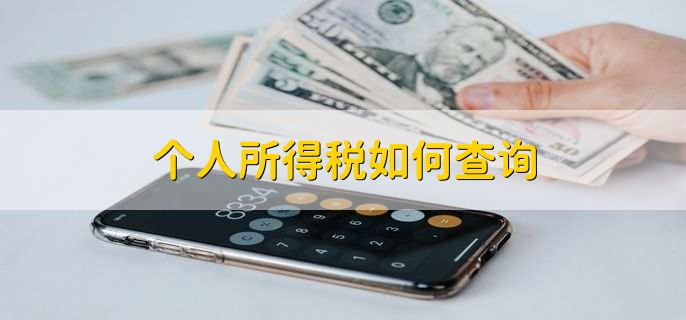 个人所得税如何查询,有以下三点