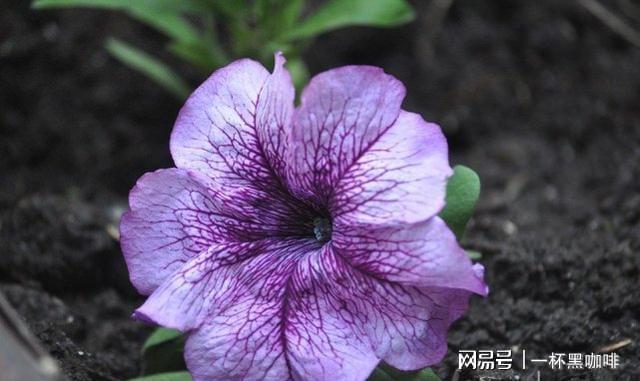 win7怎么设置双击打开文件_双击电脑打开的是控制面板_win7双击我的电脑打不开