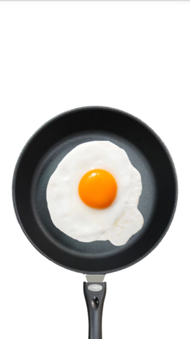 FriedEgg