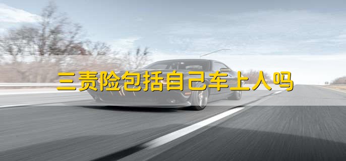 三责险包括自己车上人吗,不包括
