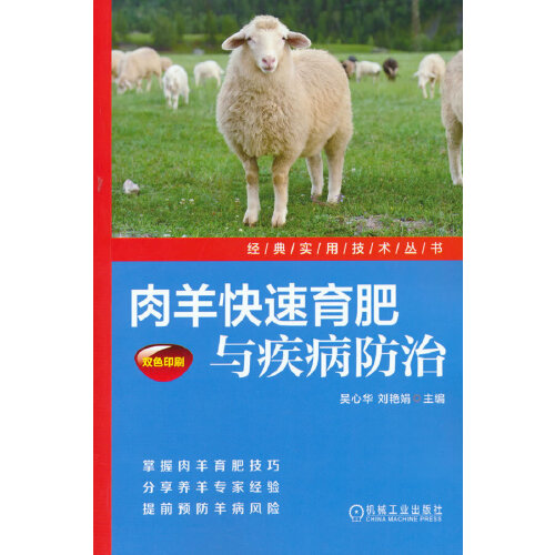 肉羊高效养殖管理技术_肉羊高效养殖技术书_肉羊健康高效养殖