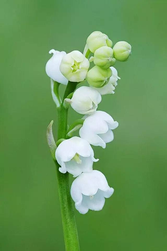 动感男士香水_动感节拍女士淡香水_动感地带香水