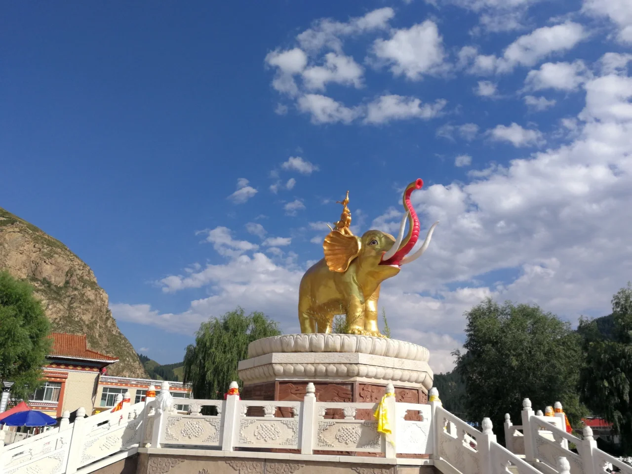 淮北王子干医院在哪里_淮北王子干体检中心电话号码_淮北王子干预约电话