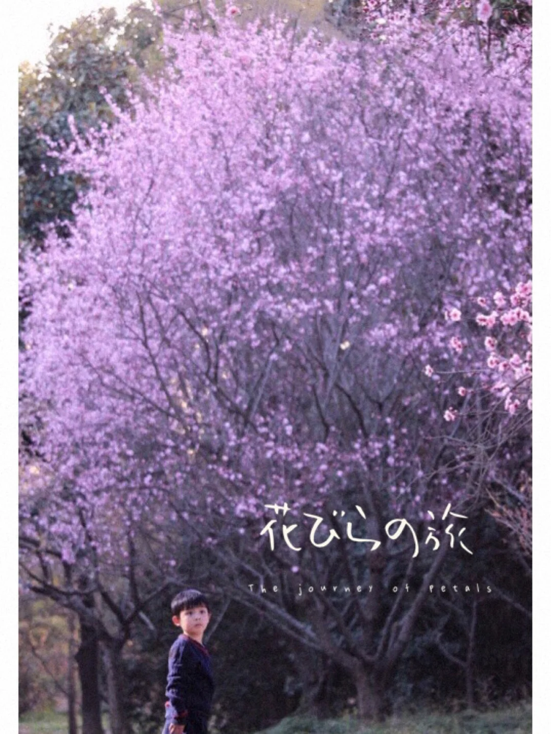 下载微信_diskdigger pro下载_下载diskdigger