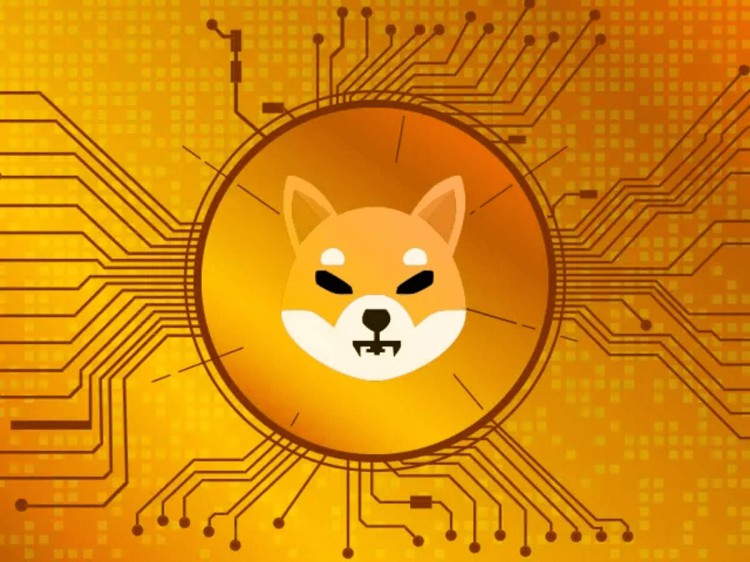 SHIBAINU0001美元赚到100万900万或2000万美元的可能性