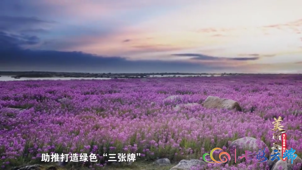 大地软件_大地系统怎么样_大地系统 官网
