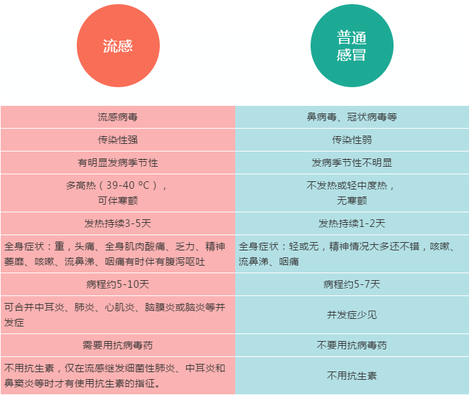 呼吸道合胞病毒的包涵体_呼吸合胞病毒表现_呼吸道合胞病毒缩写