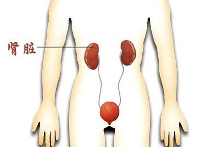 阴气过多和肾虚的表现