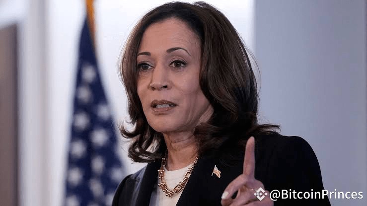 预计将竞选总统的卡马拉哈里斯KAMALAHARRIS对加密货币有何看法