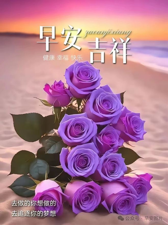 船舶dwt代表什么单位_船舶dwt在哪个证书上_dwt船舶