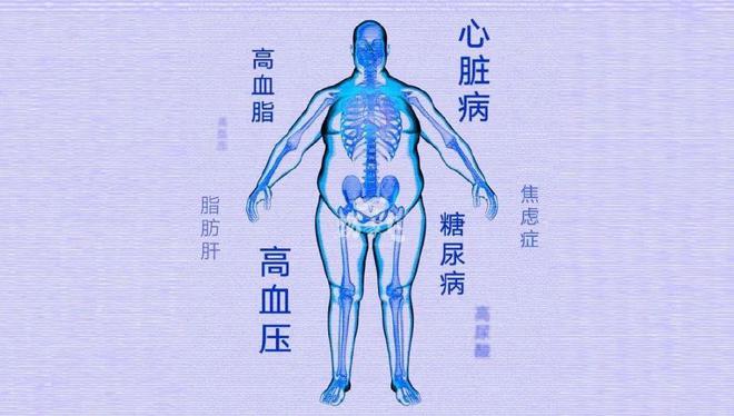冠心病的护理论文(精选5篇)_冠心病患者的护理论文总结_冠心病护理论文