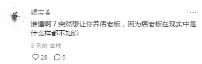 有人养到海绵宝宝里的珊迪了？网友惊呼：多少钱？我也想养