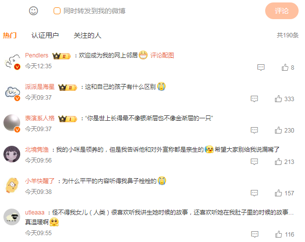 揭秘！小猫身世大公开，主人深情讲述引泪目