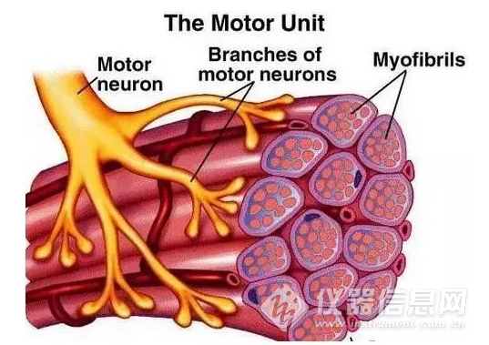 lims系统如何连接仪器_仪器连接的要点_仪器连接方式