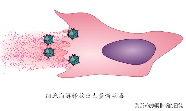 病毒存在型文件方式是什么_文件型病毒的存在方式_病毒的文件类型