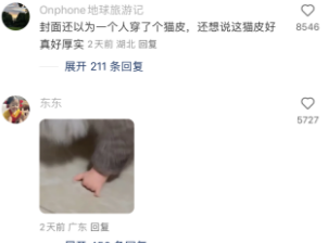 给猫猫整不会了，猫:走不动道了家人们!