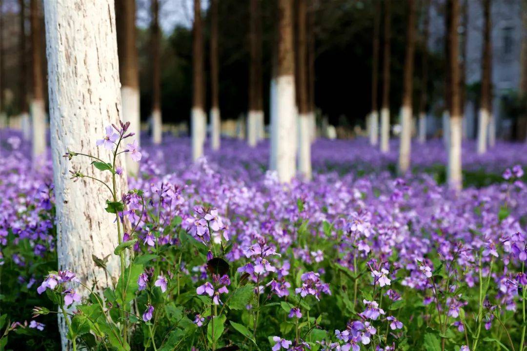 身份证号码和真实姓名家庭住址_真实姓名证件号是什么_姓名和住址