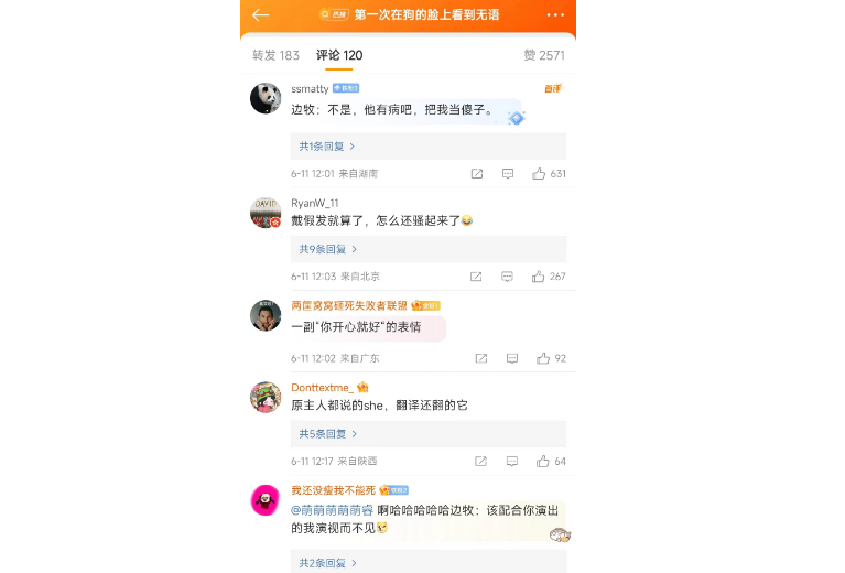 第一次在狗的脸上看到无语，网友说见识了