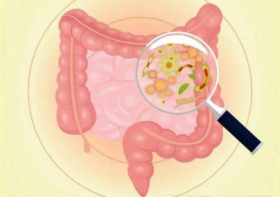 罗克恩病早期症状_罗克罗恩病_克罗恩代病