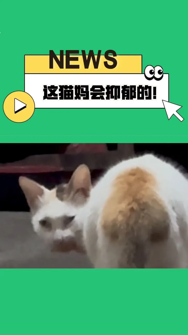 道路监控查询_如何查询道路监控录像记录_想查道路监控怎么查询