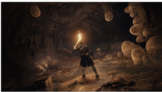 艾尔登法环盾牌MOD