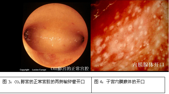 看妇科去北京哪个医院_妇科医院北京看去哪里好_看妇科的医院北京