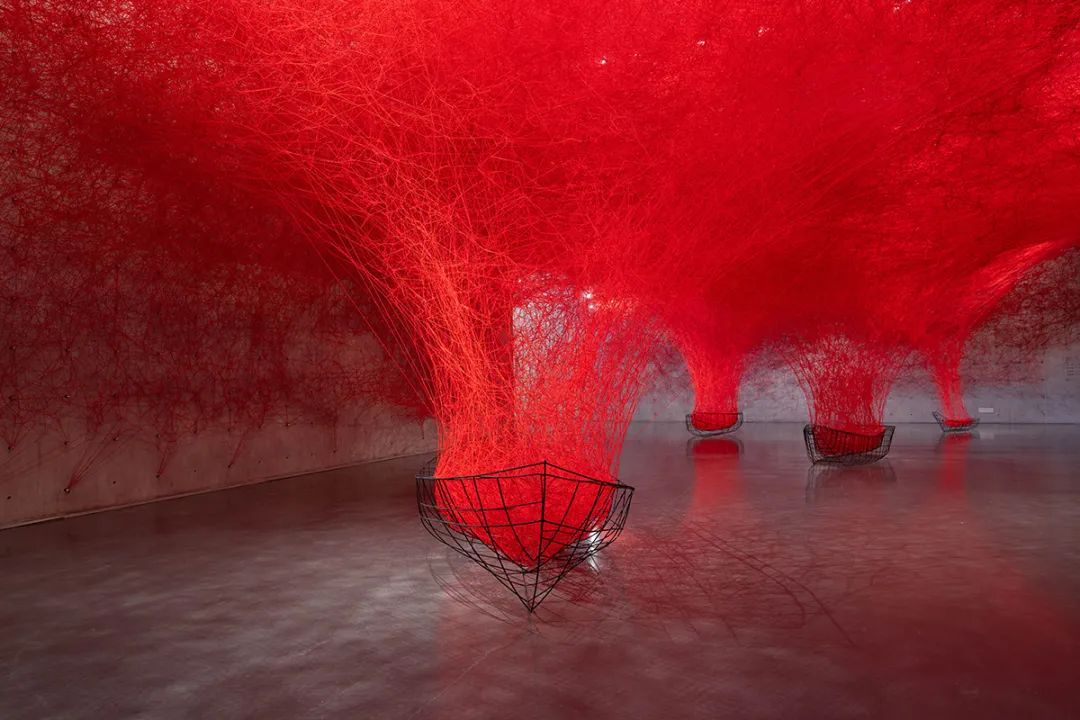 可数名词_ecosystem可数不可数_可数名词和不可数名词缩写