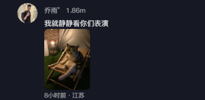 浣熊舞挑战萌宠版来袭，跟着小猫摇起来