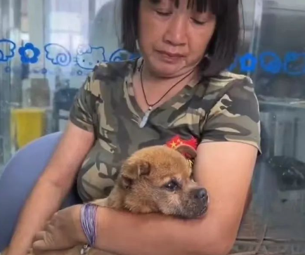 一生都被电击魔咒笼罩的狗狗，摘下电机的那一刻让人泪目……