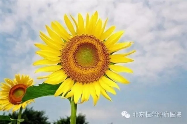 朝阳第二医院入职体检_朝阳体检入职医院在哪_朝阳体检入职医院电话