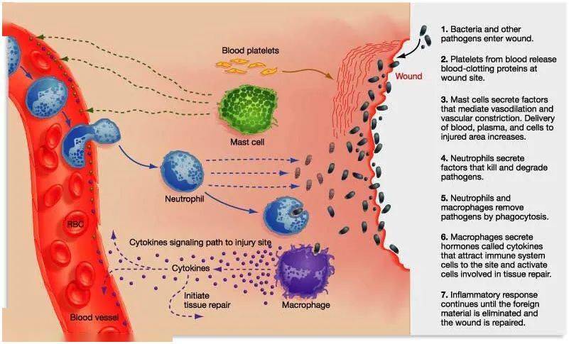 克罗恩病课件_克罗恩病小讲课_克罗恩病ppt课件免费