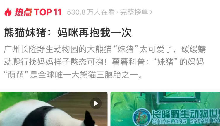 大熊猫妹猪：妈咪再抱我一次