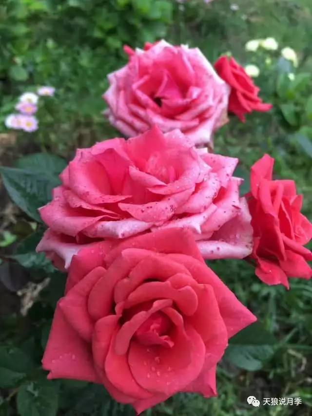 监控能保存好久_城市监控可以保存好久_监控能保存一年吗