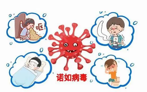 呼吸合胞病毒会自愈吗_呼吸道合胞病毒的传播途径_呼吸道合胞病毒 用文明