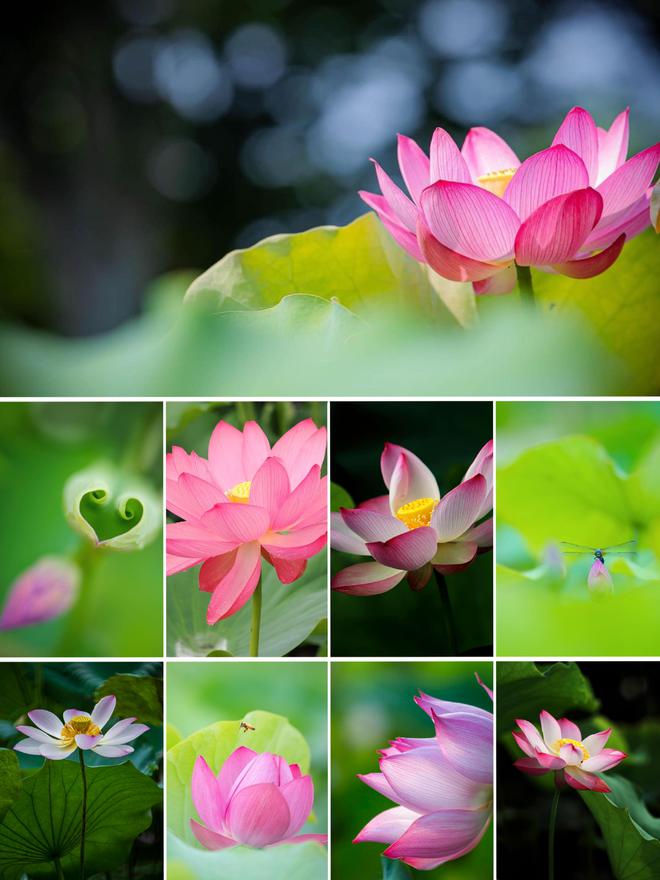 kms如何激活windows_从kms激活转为永久激活_windows2024 激活 kms