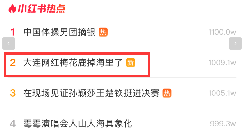 网友海边溜达，竟发现大连网红梅花鹿掉海里了