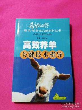 养羊技术大全免费阅读_养羊技术书籍在线阅读_大全免费阅读养羊技术书