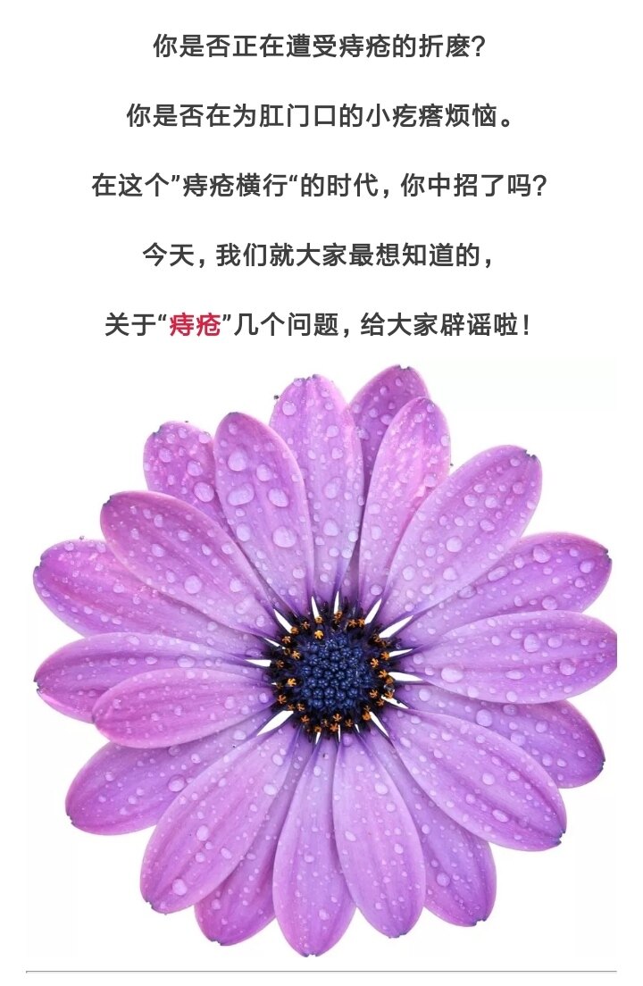 痔疮 肛瘘手术时间_手术痔疮肛瘘时间多久_痔疮肛瘘手术后几天能正常大便