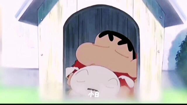 ss多用户管理系统_用户管理系统admin_用户管理系统的介绍