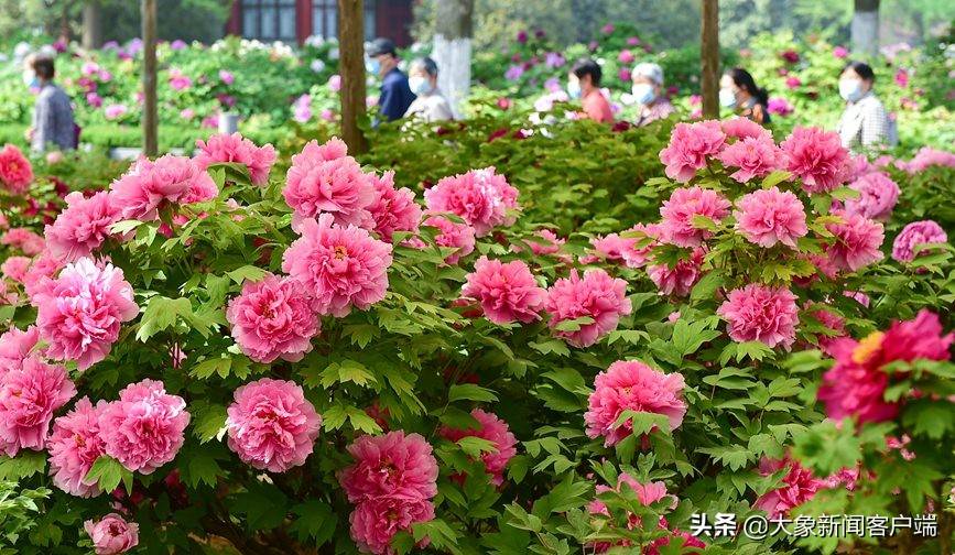 身份证号能查四级成绩吗_成绩查询身份验证_身份证号查成考成绩