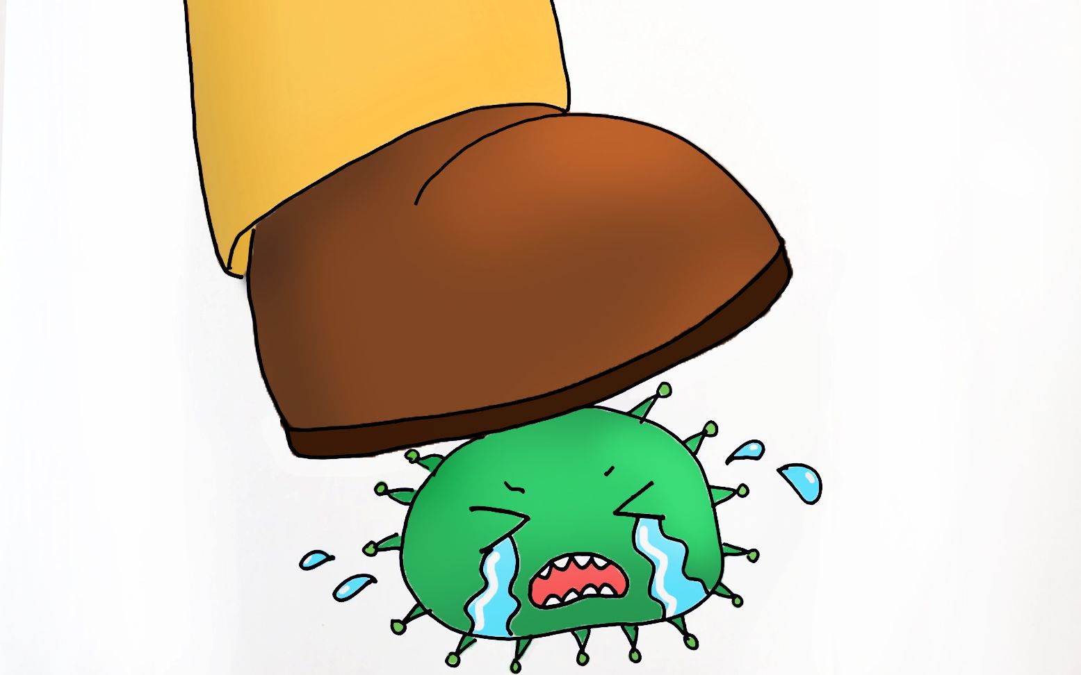 大蜘蛛杀毒_杀蜘蛛_杀蜘蛛最有效的杀虫剂