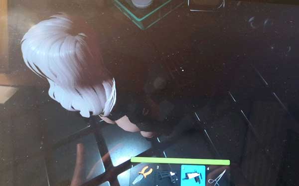 Haydee2汉化补丁 