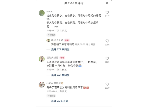 小狗：终于高兴了 我尾巴管用不