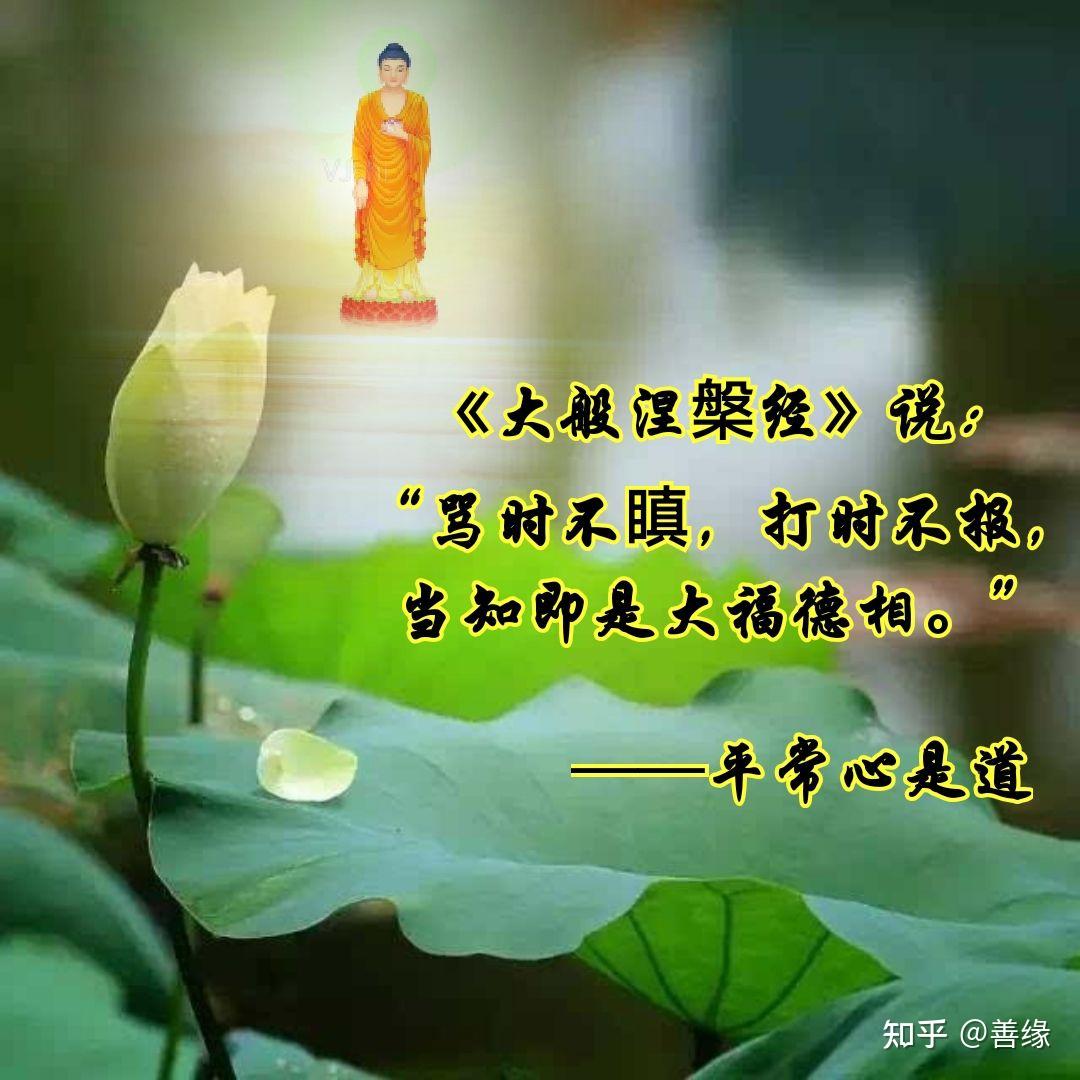 英雄连现代战争严重ai错误_错误的英文_ai sgtool 错误