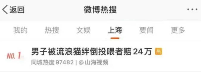 在球馆打球被投喂的猫咪绊倒摔伤，责任谁来担？