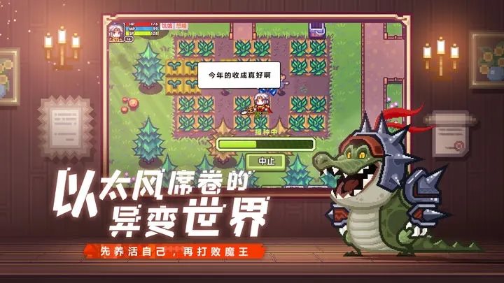 伊洛纳夏季版