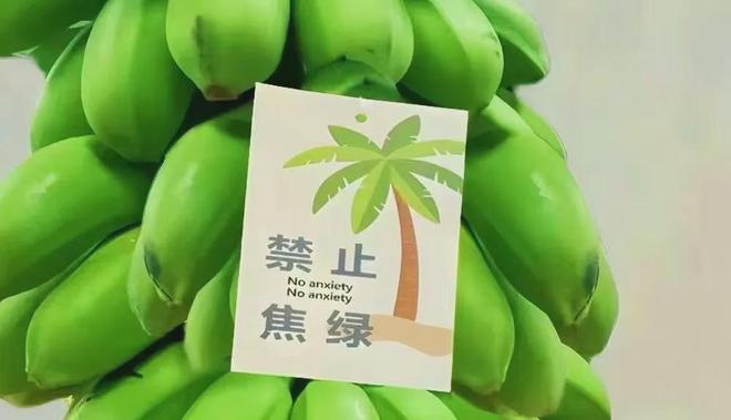 安炫防丢器_安炫防丢器_安炫防丢器