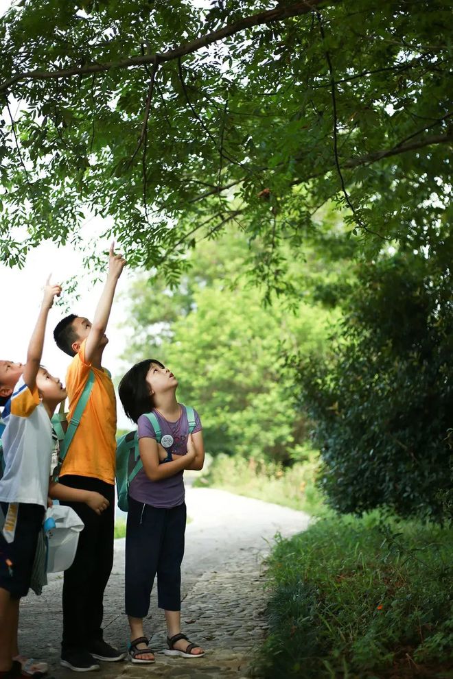 佛山招聘康复治疗师_佛山康复理疗师招聘_康复佛山招聘治疗师最新信息