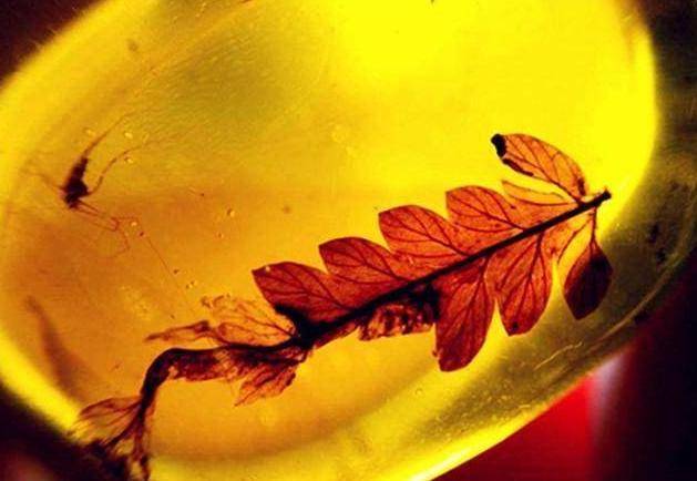 sd卡恢复删除的照片_sd卡误删照片恢复_sd卡照片删除怎么恢复