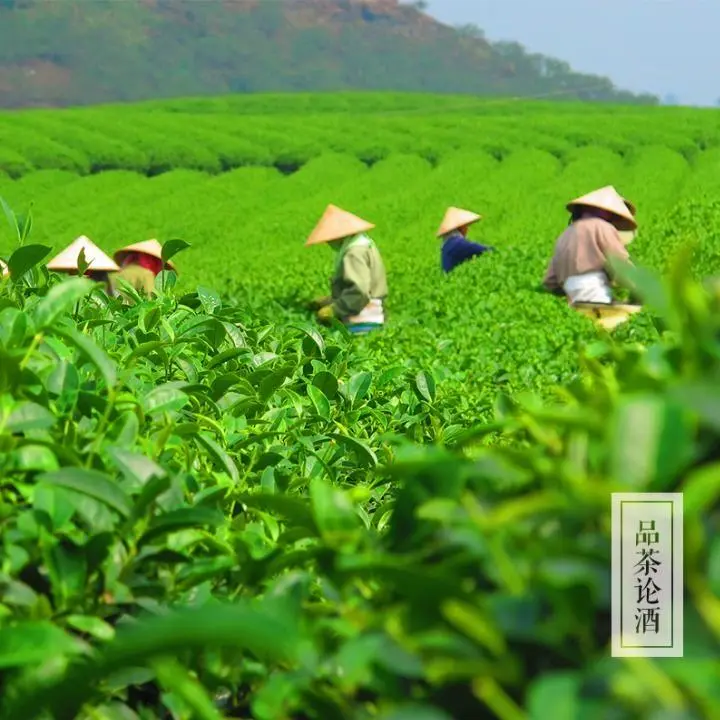 历史朝代顺序表_losetup的历史_历史转折中的邓小平